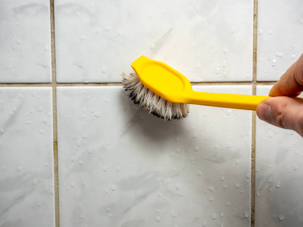 Best Professional Mold Removal  in Rosebud, SD
