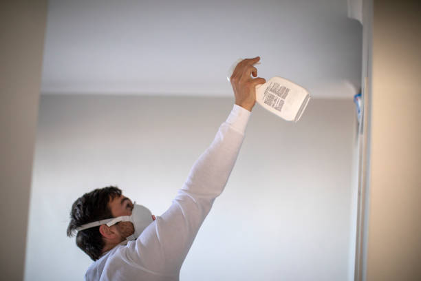 Best Certified Mold Removal  in Rosebud, SD