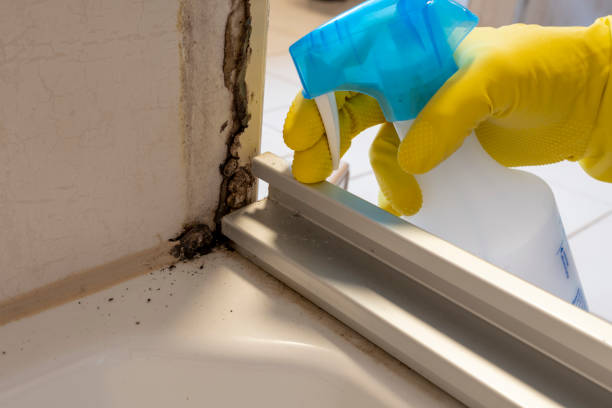 Best Residential Mold Removal  in Rosebud, SD