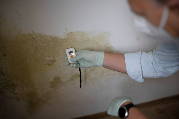 Water Damage Restoration in Rosebud, SD