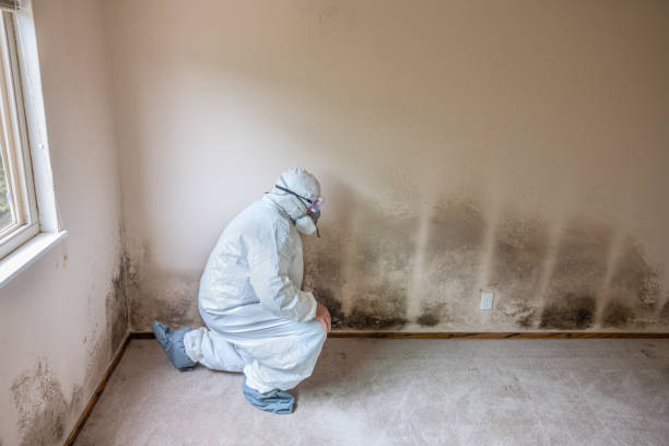 Best Mold Remediation  in Rosebud, SD