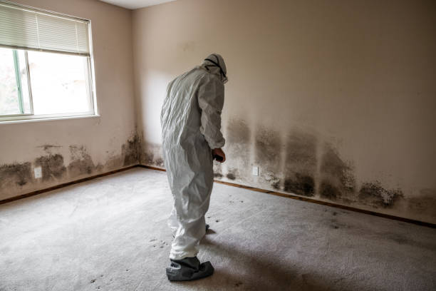 Water Damage Restoration in Rosebud, SD
