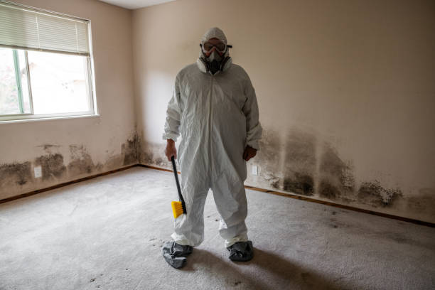 Best Certified Mold Removal  in Rosebud, SD